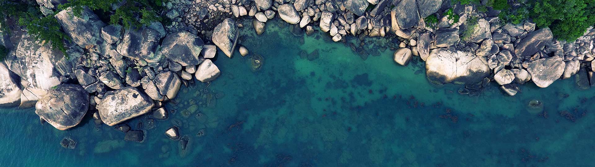 Intertidal Zone World Biomes The Wild Classroom